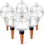 6 Pack Self-Watering Globes by Unknown