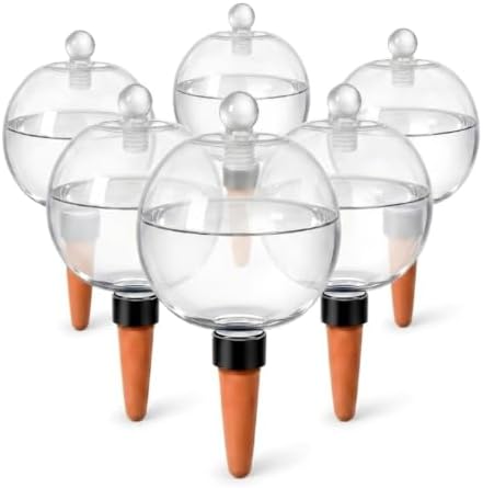 6 Pack Self-Watering Globes by Unknown