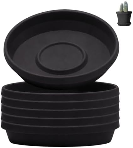 Bloem Terra Plastic Saucer Tray for 8" Terra Planters, Black, 6-Pack by Bloem