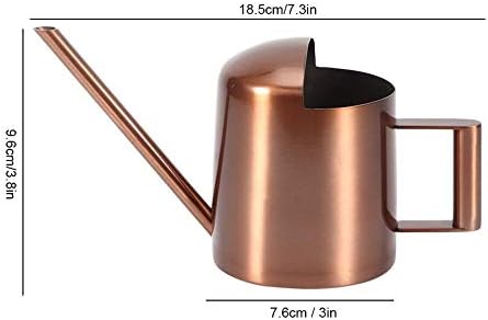 Watering Can 300ml Stainless Steel Long Spout Indoor - Image 3