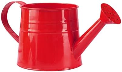 Metal Watering Can for Indoor Outdoor Garden Modern Minimalist Design with Detachable Sprinkler Head Ergonomic Comfort Grip Handle Efficient Irrigation Tool for Flower Lovers and (G, 24.5X11.5X11CM) - Image 3