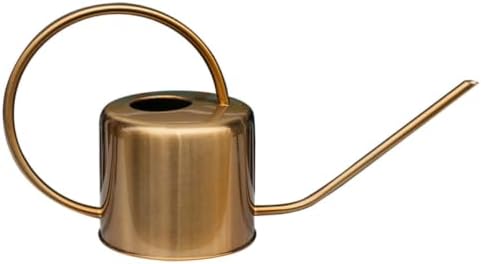 1.3l Stainless Steel Watering Can with Long Spout for Plants by BCOATH