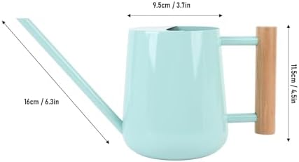 Stainless Steel Plant Watering Pot, 1/2 Gallon Modern Watering Can, Indoor Outdoor Use, Long Spout Watering Can for House Plants, Garden Flowers (Black) - Image 2