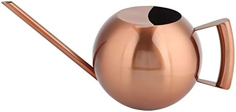 Aramox Watering Can, Stainless Steel Long Spout Watering Can 1L Bronze, No Leak Ergonomic Handle Smooth Edge, for Indoor Houseplants Outdoor Garden Flowers Potted Plants (Bronze) by Aramox