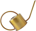 GALPADA Stainless Steel Watering Kettle Long Spout Sturdy 1L Watering Can for Indoor and Outdoor Plants Practical Garden Tool for Plant Care by GALPADA