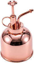 Golden Vintage Plant Watering Can 300ml Stainless Steel by Yardenfun