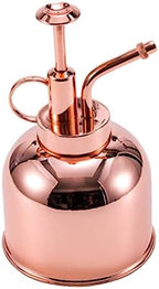 Golden Vintage Plant Watering Can 300ml Stainless Steel by Yardenfun