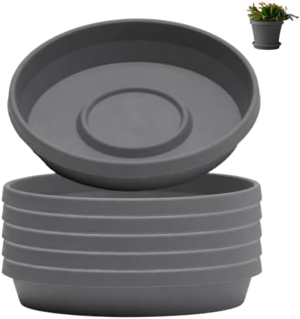 Bloem Terra Plastic Saucer Tray for 12" Terra Planters, Charcoal, 6-Pack by Bloem