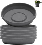 Bloem Terra Plastic Saucer Tray for 12" Terra Planters, Charcoal, 6-Pack by Bloem