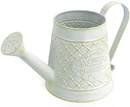 Cute Small Watering Can Indoor Plants Garden Metal Decorative Watering Cans for Outdoor Plants Bonsai Outdoor Garden Flower Decorative (White, 1.5L, 50.7 Oz) by Z%C2%B2BellaDecor