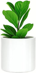 Fox & Fern Large Planter for Indoor or Outdoor, White Glossy, 10 Inch by FoxFern
