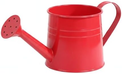 Metal Watering Can, 1 Liter Iron Vessel for Indoor Plants and Houseplants (1 PC) by Unknown