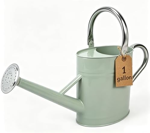 1 Gallon Watering Can for Outdoor&Indoor Plants，Cream Green by Shopwithgreen