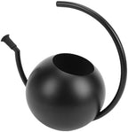 Asixxsix Watering Can, 35oz 1000ml Rustproof Stainless Steel Long Spout Indoor Watering Can, Bonsai with Comfortable Handle for Indoor Plants Houseplants Succulents Garden - Image 5