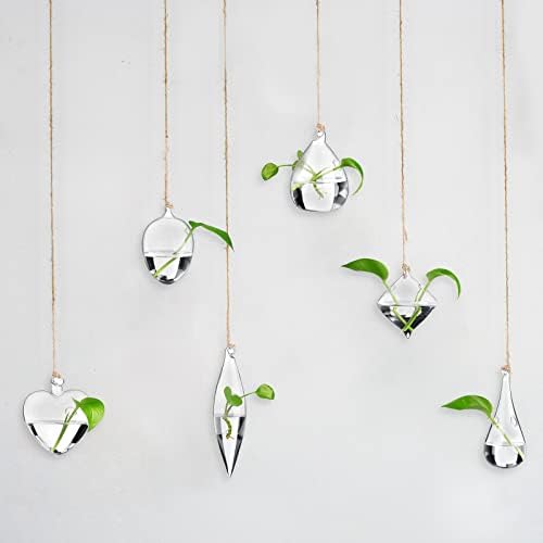 Zopeal 6 Set Wall Hanging Glass Planter Terrarium Propagation Station Vase Container Watering Squeeze Bottle with Rope and Hook for Hydroponic Plants Flower Home Decor Gifts (Classic Style) - Image 5