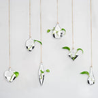 Zopeal 6 Set Wall Hanging Glass Planter Terrarium Propagation Station Vase Container Watering Squeeze Bottle with Rope and Hook for Hydroponic Plants Flower Home Decor Gifts (Classic Style) - Image 5