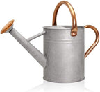 Metal Watering Can with Removable Spout, Galvanized Watering Can, Perfect for Indoor Use and for Outdoor Use (1 Gallaon, Zinc) by Ausluru