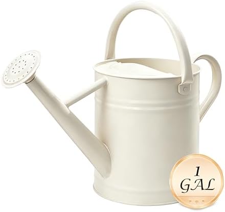 Metal Watering Can for Outdoor Plants, Watering Can 1 Gallon,Cream White - Image 2