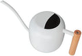 Small Watering Can Watering Pot Jug Stainless Steel Long Spout Rustproof 1200ML Capacity for Indoor Outdoor Plants Garden Home (White) by Unknown
