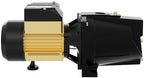 K2 Pumps WPS07502K 3/4 HP Cast Iron Shallow Well Jet Pump - Image 2