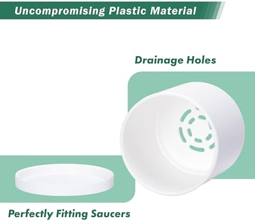 D'vine Dev 6-Pack White Plastic Planters with Saucers, 4.5 in, 74-Z-F-3 - Image 4
