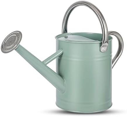 1 Gallon Watering Can for Plants, Watering Cans for Indoor&Outdoor Gardening, Galvanized Steel Watering Pot with Removable Spout, Metal Water Can with Ergonomic Movable Handle(Cream Green) by Unknown