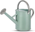 1 Gallon Watering Can for Plants, Watering Cans for Indoor&Outdoor Gardening, Galvanized Steel Watering Pot with Removable Spout, Metal Water Can with Ergonomic Movable Handle(Cream Green) by Unknown