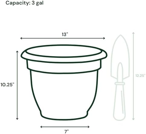 Bloem Ariana 12" Plastic Self-Watering Planter, Vanilla Bean, 2-Pack - Image 4