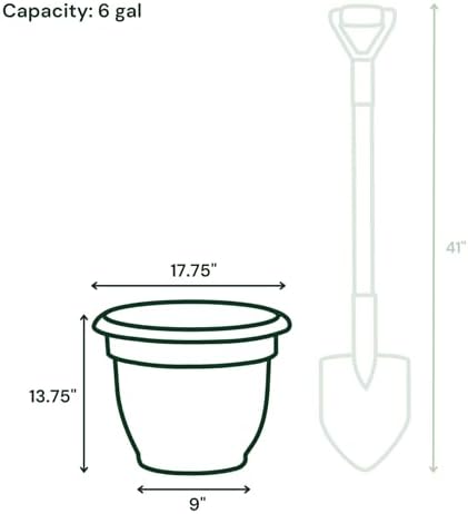 Bloem Ariana 16" Plastic Self-Watering Planter, Charcoal, 2-Pack - Image 4