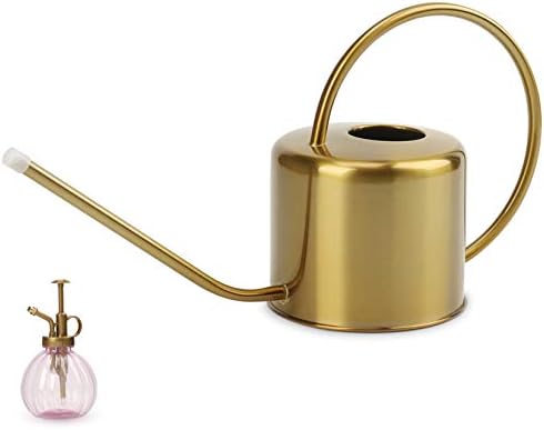 Remiawy Watering Can Indoor Outdoor Stainless Steel Watering Cans for House Plants Long Spout Water Can for Succulent Bonsai Garden Flower(40oz/1300ml) by GARDENANDTOOL