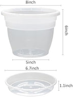 RooTrimmer 10 Pack 8 Inch Clear Nursery Pots with Drainage Holes & Saucers - Image 2