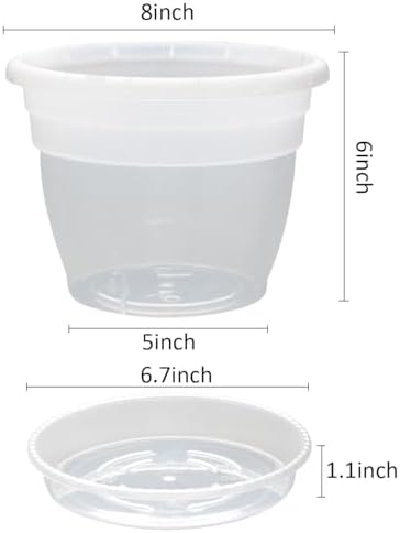 RooTrimmer 10 Pack 8 Inch Clear Nursery Pots with Drainage Holes & Saucers - Image 2