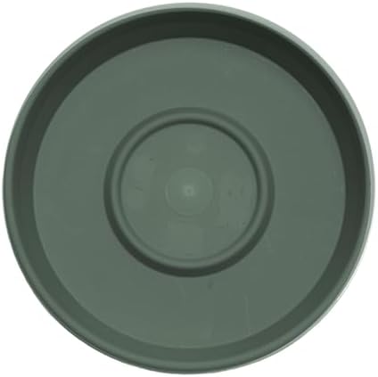 Bloem Terra 16" Round Plastic Plant Saucer, Lightweight UV-Resistant Indoor/Outdoor Flower Pot Tray - Fits 16-inch Planter Pots, Basil, 2-Pack - Image 4
