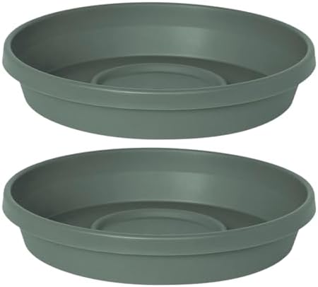 Bloem Terra 16" Round Plastic Plant Saucer, Lightweight UV-Resistant Indoor/Outdoor Flower Pot Tray - Fits 16-inch Planter Pots, Basil, 2-Pack by Bloem