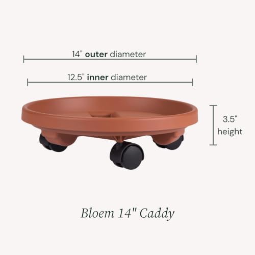 Bloem 14" Plastic Wheeled Plant Caddy, 100 lb Capacity, Terra Cotta, 2-Pack - Image 5