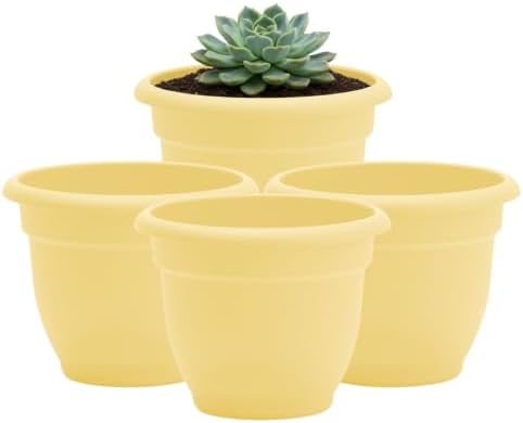 Bloem Ariana 10" Plastic Self-Watering Planter, Daffodil, 4-Pack by Bloem