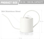 Plant Watering Can, 50 oz / 1500 ml Stainless Steel Metal - Modern Decorative with Long Spout for Indoor Potted Plants, Bonsai, Garden Flowers, Cream White - Image 3