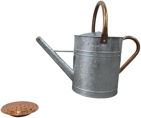 Plexon Large Metal Watering Can Outdoor 2 Gallon - Flower Plant Gardening Garden Watering Can Pot, Bronze Galvanized Steel Handles and Removable Spray Spout, Silver - Image 6