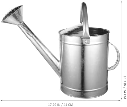 Metal Watering Can for Indoor Plants, 5l Capacity Iron Spray Kettle with Fixed Handle and Sprinkler Spout, Suitable for Small Plant Watering and Seedling Care Style - Image 2