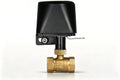 Smart Wifi Water Valve, Motorized Ball Valve, App Comtrol, Brass by Unknown