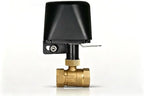 Smart Wifi Water Valve, Motorized Ball Valve, App Comtrol, Brass by Unknown
