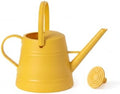 Watering Can by Unknown