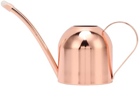 Indoor Outdoor Stainless Steel Watering Cans, Watering Can Metal with Long Spout for House Plants Long Spout Water Can for Succulent Bonsai Garden Flower by Unknown