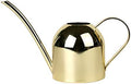 Stainless Steel Watering Kettle 500ml for Succulents and Flowers by cabilock