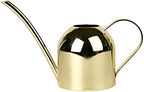 Stainless Steel Watering Kettle 500ml for Succulents and Flowers by cabilock