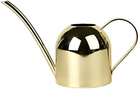 Stainless Steel Watering Kettle 500ml for Succulents and Flowers by cabilock
