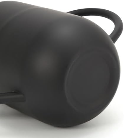 2Pcs Stainless Steel Watering Can with Long Spout 900ML Indoor Outdoor Plant Watering Pot - Image 7