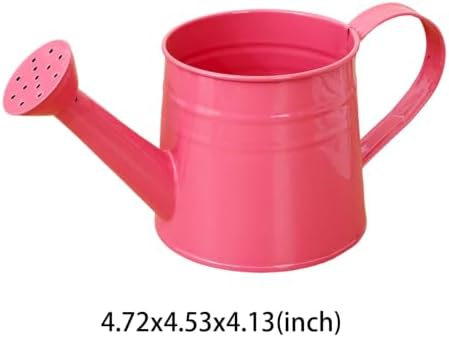 1L Retro Metal Painted Watering Can with Long Spout & Handle - Image 6