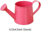 1L Retro Metal Painted Watering Can with Long Spout & Handle - Image 6