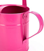 1.5L Iron Watering Can Household Bonsai Plant Tools, Gardening Kettle Garden Irrigation Spray Bottle - Image 5